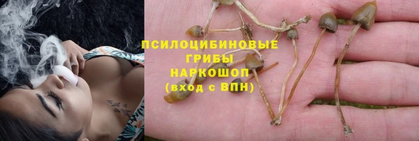 не бодяженный Абдулино