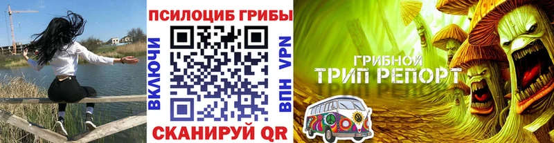 Псилоцибиновые грибы Psilocybe  ссылка на мегу ссылки  Сясьстрой 
